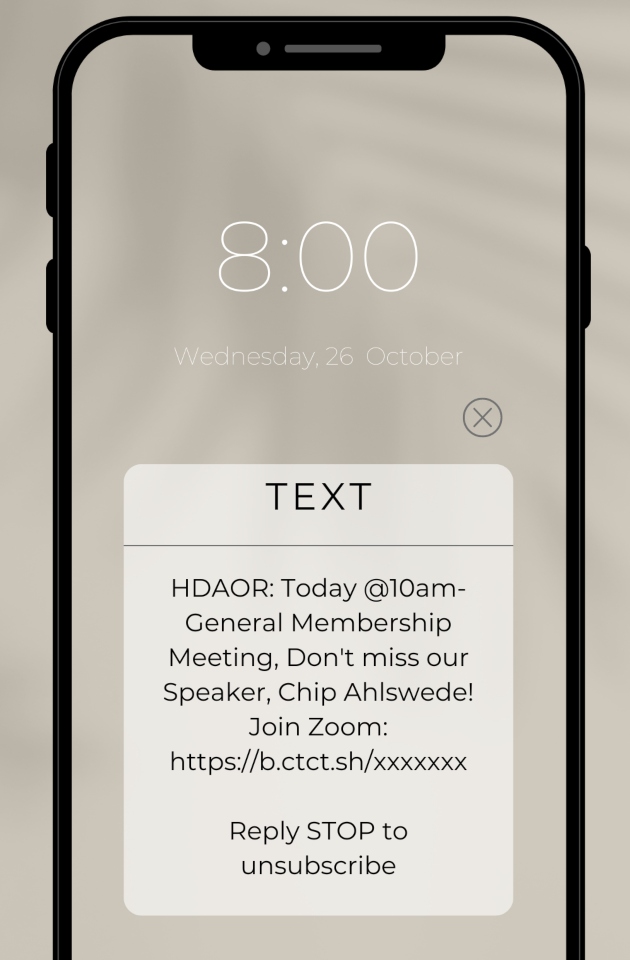 picture of text message example